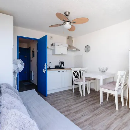 Appartement Avec Terrasse, Animaux Admis, Pour 4 Personnes - Fr-1-409a-33 *